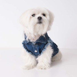 Fashion Jean Jacket for Dogs by United Pups (Chill Pups Denim Blue, Size 3)