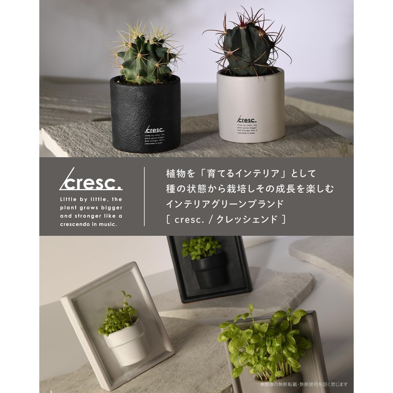 Nol Corporation Cresc. White CRS0101 Cactus Cultivation Kit