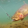 Snagging Hooks 3PCS Fishing Snagging Weighted Treble Hooks Large Treble
