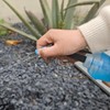WILDREEDS - Pajita de repuesto para botellas de agua para