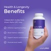 Alpha GPC 300mg x 90 Capsules - Over 99% Purity