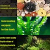 Hamiledyi Aquarium Filter Media 12 in 1 Bio Balls Ceramic