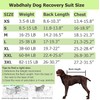 Wabdhaly Dog Surgery Recovery Suit for Female Spay,Puppy Surgical Recovery