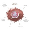 Té Chai Rosa Pink Chai Polvo 100g Natural Vegano Sin
