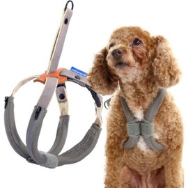Dog Harness Assion Canine Joint Protection Prevents Dog Tracheostomy Easy Installation Quick Drag Size Adjustable Drag for Small Dogs Neck Friendly Includes Soft and Comfortable Cushion Yellow S, Gray, S Size / 강아지 하네스 애션 반려경 관절보호 개 기관절개 방지 간편한 설치 빠른 끌기 크기 조절 소형견용 끌림 목에 친화적 부드럽고 편안한 쿠션 포함 노란색 S, 회색, S 사이즈