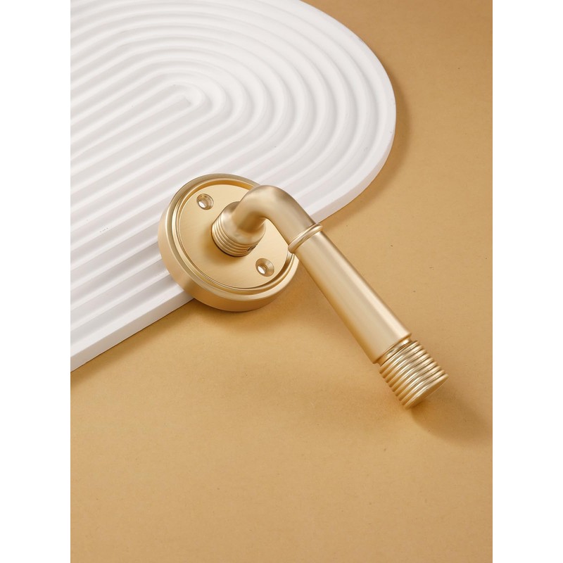 SORWDUERM 1 Pack Gold Door Lever Passage Door Levers Brushed