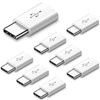 RuiMi Micro USB to Type C Converter Adapter, Fast Charging/Data
