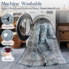 Delara Machine Washable Area Rug, Soft & Durable, Non-Slip, Stain