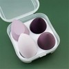 Ns Beauty Makeup Sponge Set Beauty Blender with Egg Case,
