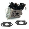 The ROP Shop | Carburetor & Gaskets for Echo PB-265L,