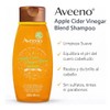 Aveeno Shampoo Apple Cider Vinegar Blend, Clarify & Shine, sin