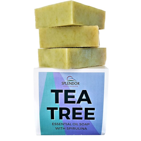 Splendor Tea Tree Coconut Oil Soap Bars with ORGANIC SPIRULINA. Handmade, Vegan, Natural, Moisturizing. Acne, Eczema, Jock Itch and Body Odor for Hand, Body and Face