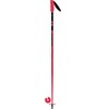 Rossignol Ski Poles, Multi-Colour, 95 cm