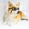 Protective Eye Cover for Small, Medium & Large Dogs &