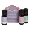 ECO. Modern Essentials Little Strength Essential Oil Trio, 3 x