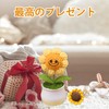 Sunflowers, Fashionable, Interior Accessories, Sunflowers, Artificial Sunshine, Artificial Flowers, Hand-woven