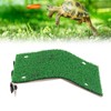 Small Turtle Basking Platform Simulation Grass Turtle Ladder Resting Terrace