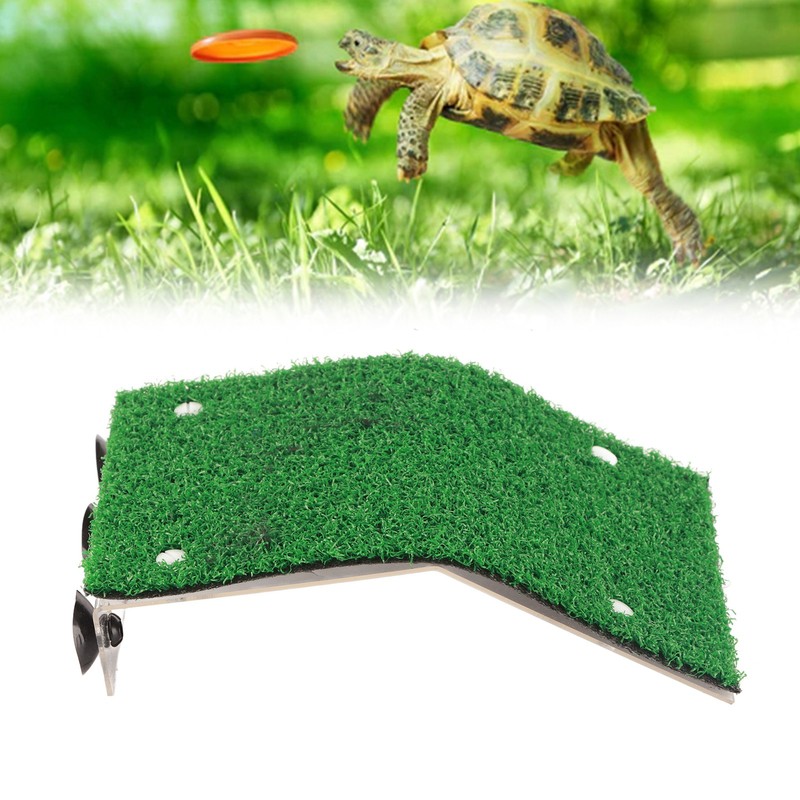 Small Turtle Basking Platform Simulation Grass Turtle Ladder Resting Terrace
