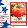 Gardeners Basics Ace 55 VF Tomato Seeds for Planting Heirloom