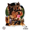 GT Graphics Yorkie - 8" Vinyl Sticker - for Car