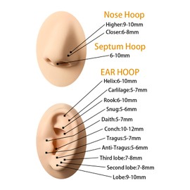 D.Bella Grade 23 Solid Titanium 14G Belly Button Rings 8mm Belly Hoop 14 Gauge Septum Rings Jewelry