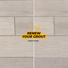 PentaUSA Grout - Premixed Grout Repair Set, 8.8 oz, 2