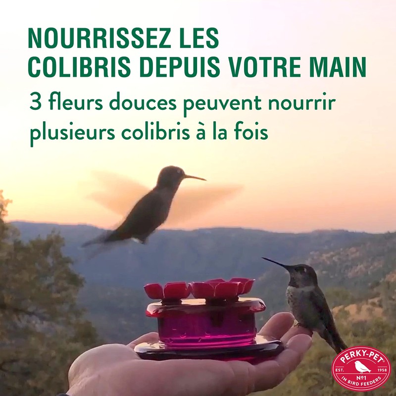 Perky-Pet 9100 Handheld & Tabletop Hummingbird Feeder