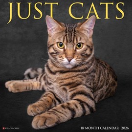 Willow Creek Press, Just Cats 2026 Wall Calendar, 12'' X 12'', 18-Month Calendar with Stapled Binding