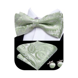 Hi-Tie Bow Tie Men Pre Tied Bowtie Pocket Square Cufflinks Lapel Pin Formal Wedding Bow Ties for Men Party Tuxedo Bowtie Set,Light Green Paisley Floral