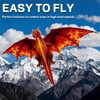 FejoHify Large Dragon Kite for Kids and Adults, Easy to
