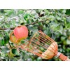 Teal Turtle Professional Apple Fruit Picker (Basket with Wooden Handle,