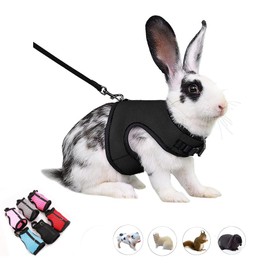 Bunny Harness Escape Proof,Rabbit Leash Set Vest Mesh Walking Training for Small Animal Pets Rat Ferret Squirrel Chinchillas Guinea Pig Bunnies, Black XL
