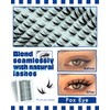 Obeyalash Fox Eye Cluster Lashes, Cat Eye Eyelash Extensions, 120