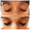 Purely Lashes Lash Growth Serum 3.5ml
