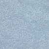 WOW! Glitter Embossing Powder-Frosted Glass WOWWS-348X