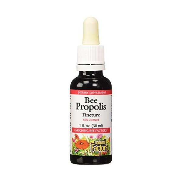 Natural Factors Bee Propolis Tincture 65% Extract - 30 ml