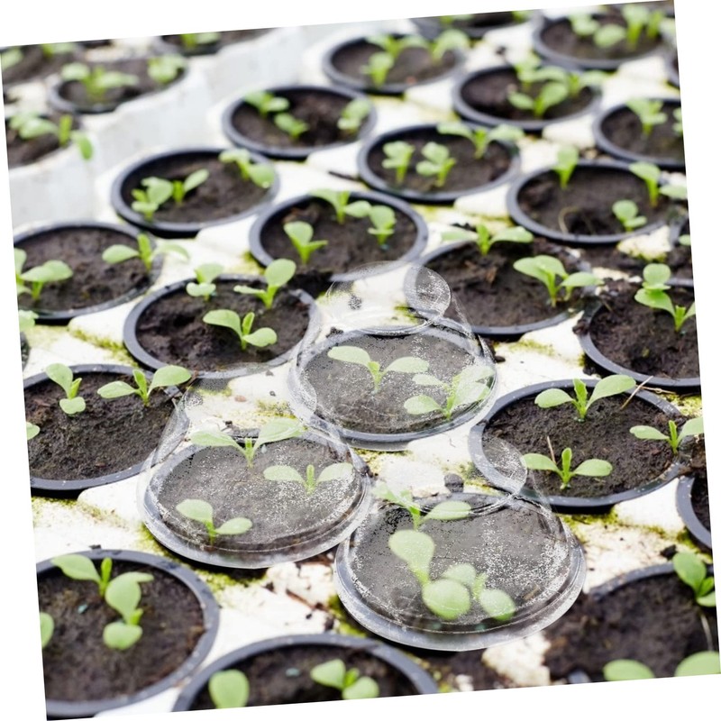 Levemolo 50pcs Transparent Hydroponic Plant Moisturizing Lids Insulation Covers for