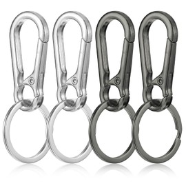 Nogeqi 4PCS Dog Tag Clip for Collar, Heavy Duty Pet Tag Clip, Dog Tag Holder Rings, Mini Carabiner Clip for Pet Collars and Harnesses(Silver, Black)