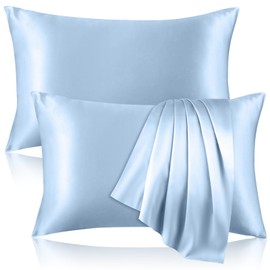 100% Pure Silk Pillowcase for Hair and Skin, Both Sides Mulberry Silk Pillowcases with Hidden Zipper, Cooling Pillowcase 19 Momme, 600 Thread Silk Pillow Cases Standard Size, 2PCS, Light Blue