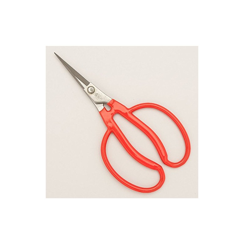 東北打刃物 新国光 剪定鋏 ステンぶどう鋏