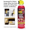 Max Pro Fire Gone 5-in-1 Compact Fire Extinguisher for Car