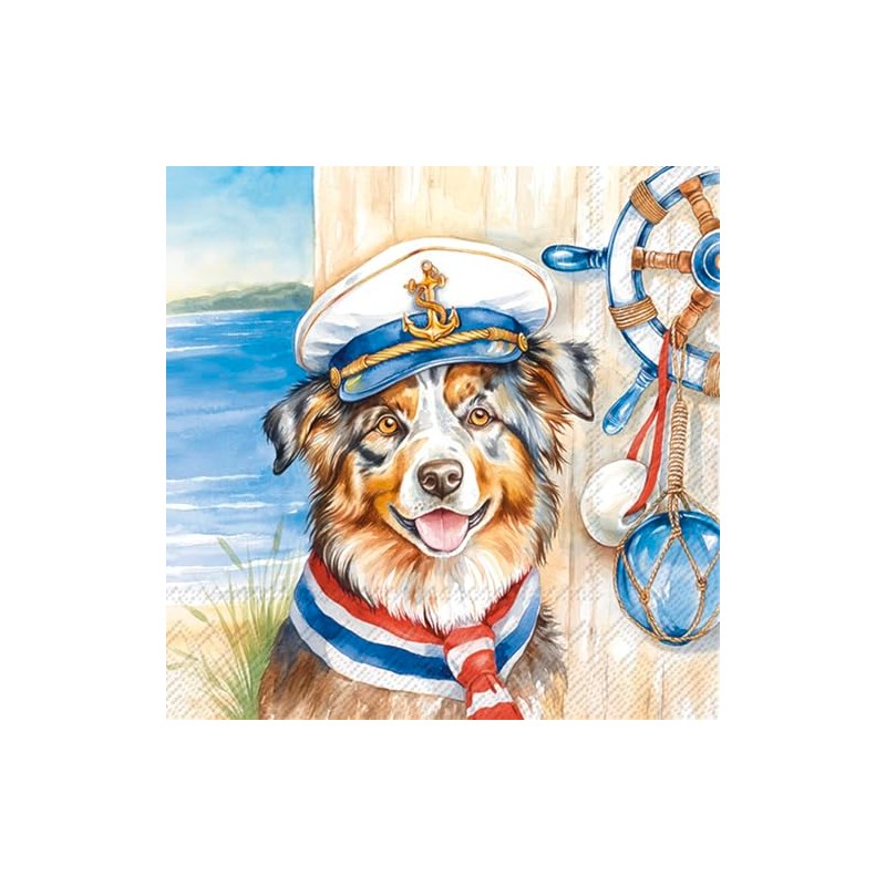 IHR Napkin Captain Jack 33 x 33 cm, Pack of