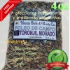 Mexican Herbs Poleo, Poleo de Monte, Poleo de Campo, Toronjil
