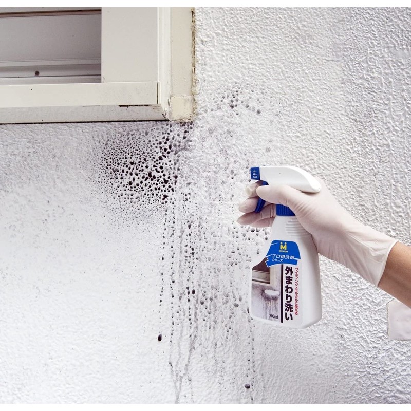 Nihon Miracon Sangyo BOTL-8 Outdoor Washing, 10.1 fl oz (300