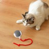 Smart Rolling Ball for Dogs and Cats - Automatic Pet