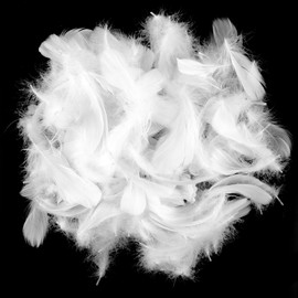 SUNRIZ Pack of 600 Feathers for Crafts, 8-12 cm, Natural Feathers for Dream Catchers, Wedding Decoration, Wedding Decorations, Carnival Easter Masks, School Crafts (White)