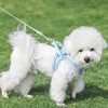 Walking pet Harness and Leash Set: Step in Vest Harness,Reflective