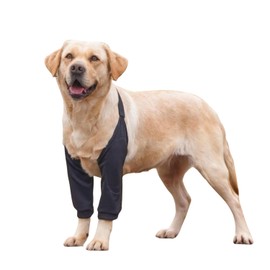 HDKUW Dog Elbow Protector for Calluses,Dog Recovery Suit for Front Legs,Cone Collar Alternative to Stop Licking Elbow Wounds,Elbow Cover Sleeve for Small Medium Large Dog Black XL