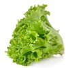 KIRA SEEDS - Seeds Green Year-Round Indoor Lettuce - 35