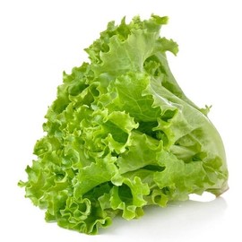 KIRA SEEDS - Seeds Green Year-Round Indoor Lettuce - 35 Days for Salad - Heirloom Vegetable - GMO Free